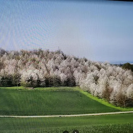 Gold Appartamento Valenza